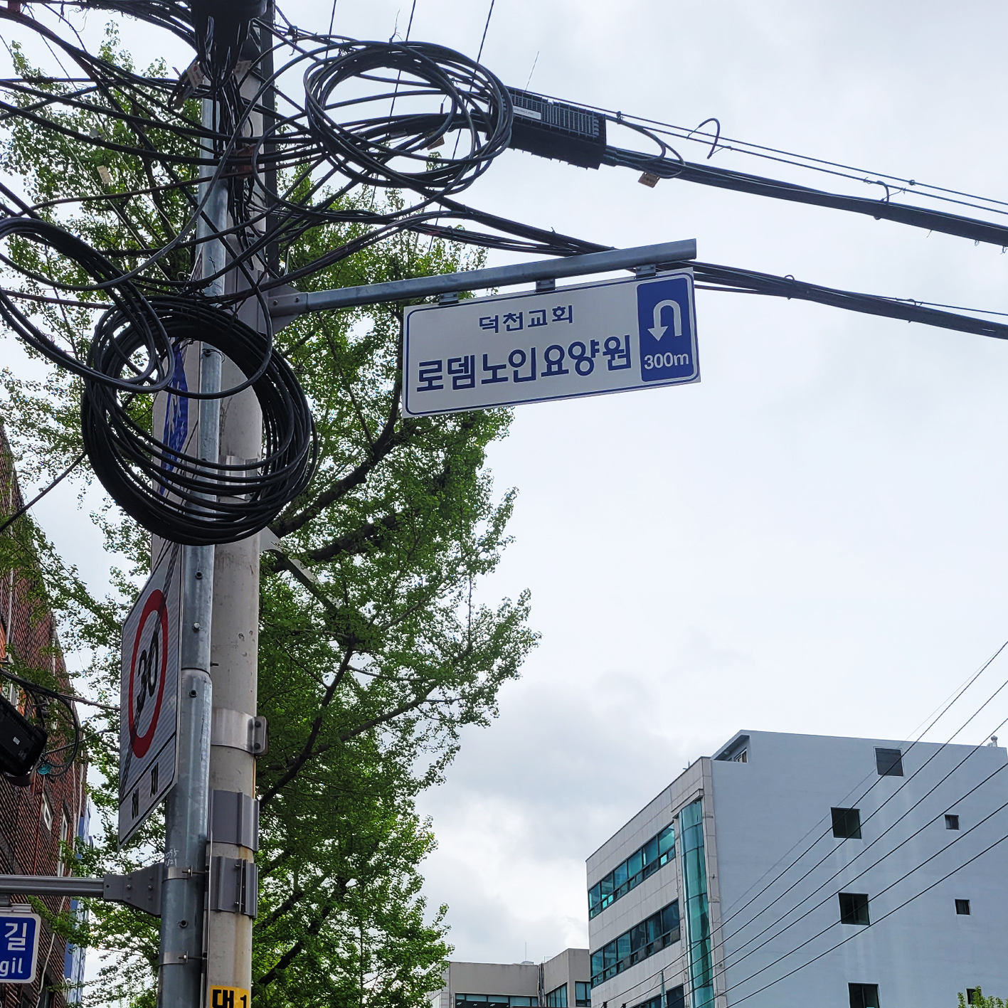로뎀노인요양원_사설안내표지판