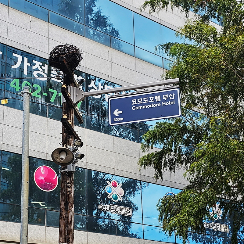 코모도호텔 부산 사설안내표지